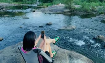 Duck Farm · The Lodge In Woods