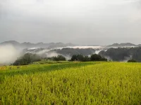 Dushan Guiyuan Tianju Country House