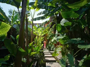 Taimiao soothing Rainforest  Hotel