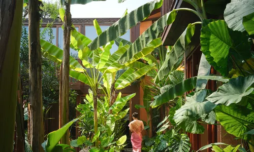 Taimiao soothing Rainforest  Hotel