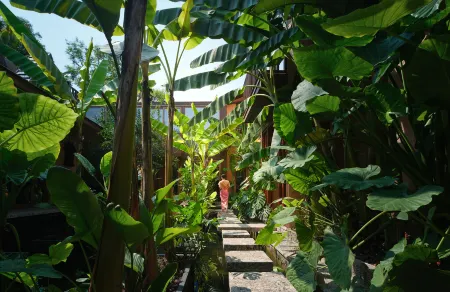 Taimiao soothing spa Rainforest  Hotel Отели рядом с достопримечательностью «Sichuan Post and Telecommunication College»