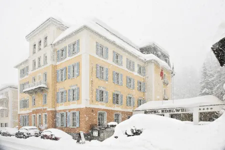 Edelweiss Swiss Quality Hotel Отели в г. Зильс-им-Энгадин