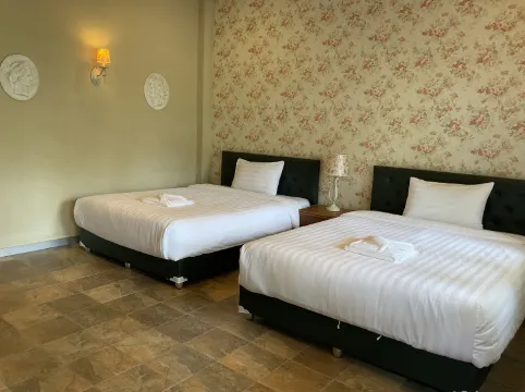 ห้องดีลักซ์ เตียงแฝด วิวสวน