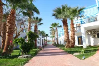 호스트굴 비치 샬레츠 미라지 베이 리조트 & 아쿠아 파크