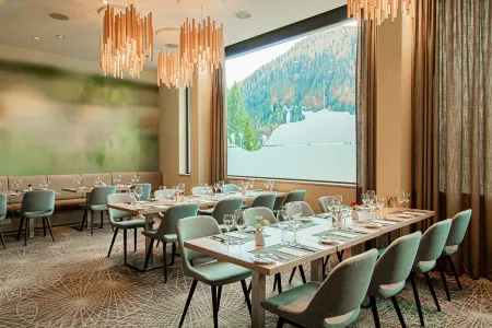 Hilton Garden Inn Davos Отели в г. Давос