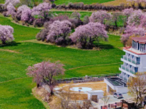 Shuye ・ Intangible Heritage Secluded Mountain Lodge Hotels near Bomi Peach Blossom Valley