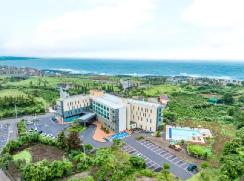 Grand Mer Hotel Seogwipo Ocean Hotels near Jungmun Beach