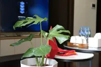 A Quiet Stay Các khách sạn ở TT. Như Quỳnh
