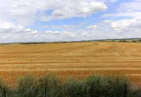 B&B Hotel Reims Croix Blandin Hotels in Reims