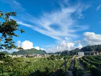 静悦辰民宿 万峰林（万峰林風景区） - 送迎