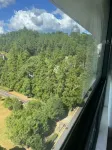 Wuyuan International Hotel - Mountain view