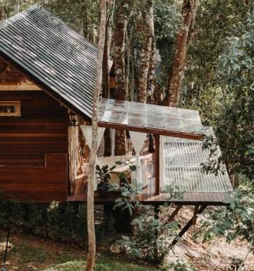 รูปภาพของเดอะจังเกิ้ลทัช