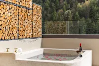 璟嶼雲境·MountHotspring|全畫幅私湯觀景民宿（雙橋溝景區店） - 寵物友善