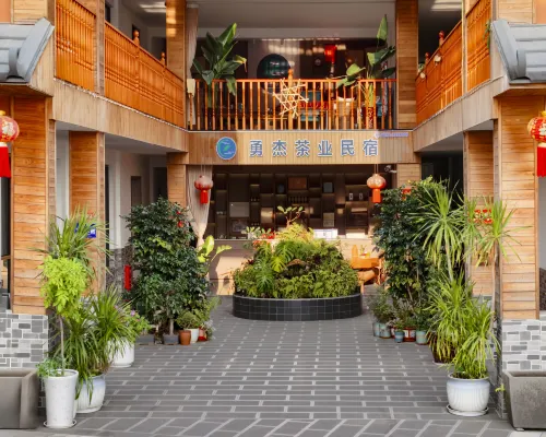 Sea of Clouds at Sun | Leisure and Holiday Courtyard Area Publik Photos