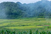 Halora Puluong Retreat Hotels in 
