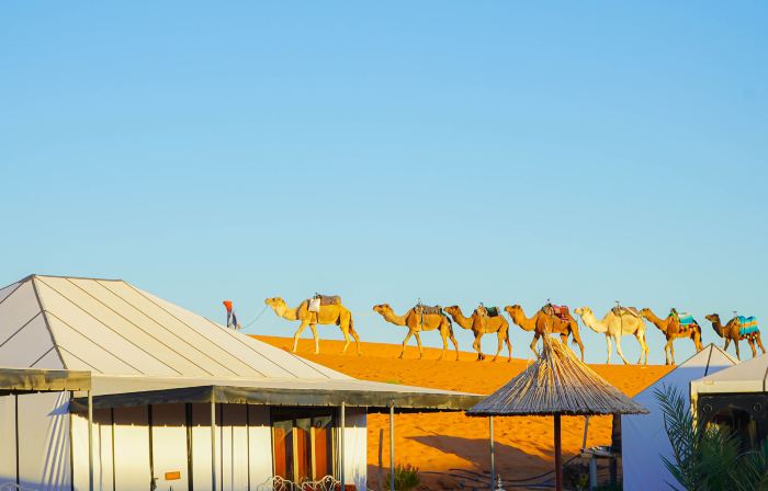 Young Luxury Camp Merzouga
