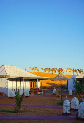 Young Luxury Camp Merzouga