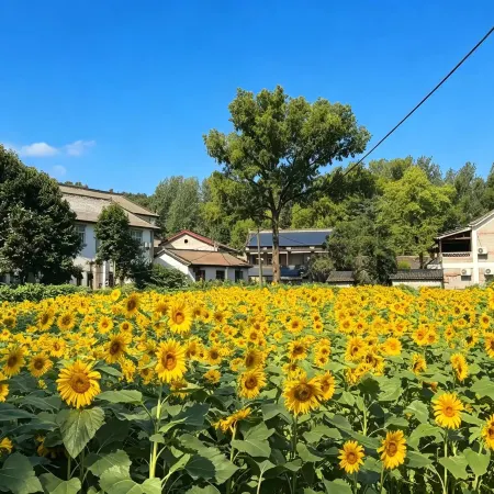 Xinyang Shanju Homestay (Haotang Village)