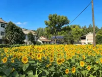 Xinyang Shanju Homestay (Haotang Village) - vue sur la montagne