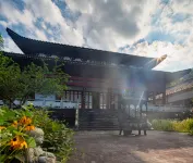 飛兔文旅驛站民宿（陽明山國家森林公園店） - 山景