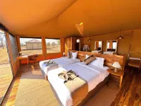 Asama Serengeti Camp - bar