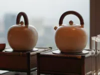 Maison New Century Hotel Hotels in Huzhou