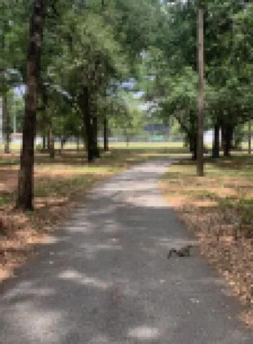 Vacation Villa Ocala