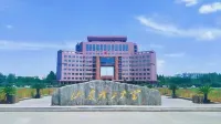 Zibo Qifeng Hotel (Shandong University of Technology Crystal Street Branch) - romantique