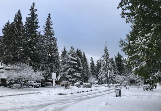 Elgin Bliss Vancouver 이미지