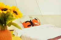 Stroll Under the Stars Desert Stargazing Camping Base - Wi-Fi