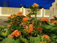 Huixiang Homestay (Tex Bagua City Off Street Store)