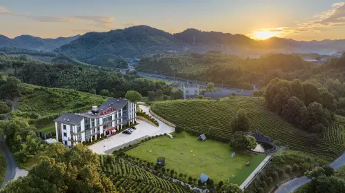 Yingyuan Farm · Anji Yingyuan Tea Manor
