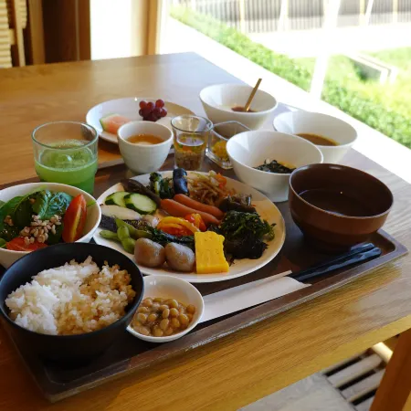 Shonai Hotel Suiden Terrasse