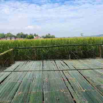 TUNGTONGHOMESTAY@CHMPING Others