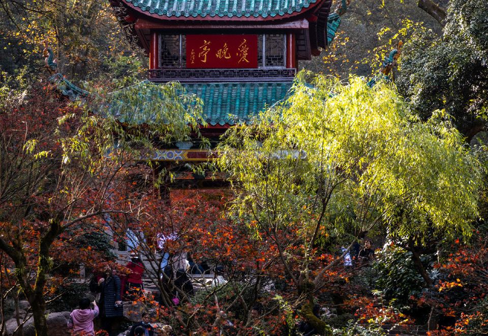 5. 창사 우이광장 ..