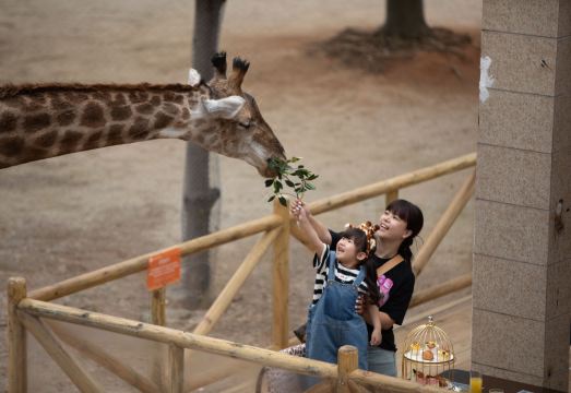 지라프 매너 호텔 내부