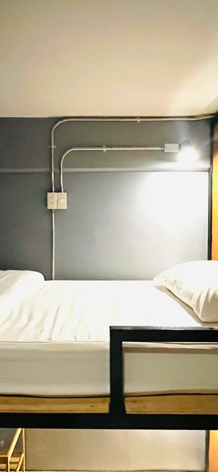 Bed In Shared Dormitory Female (No Windows)