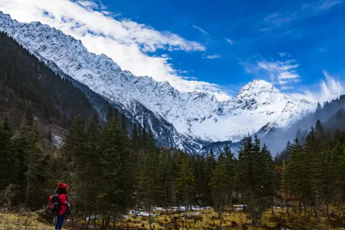 Sertar Zhuri Grand Hotel (Jinma Plaza)