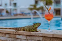 The Mill Resort & Suites Aruba - Strand