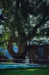 Jingan Shuianbian