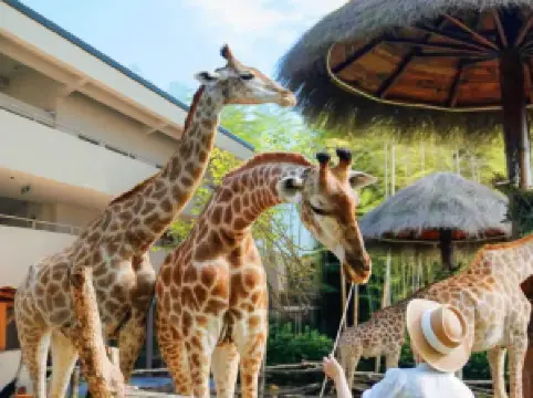 โรงแรมสำหรับครอบครัวยอดนิยมในฉางหลี่