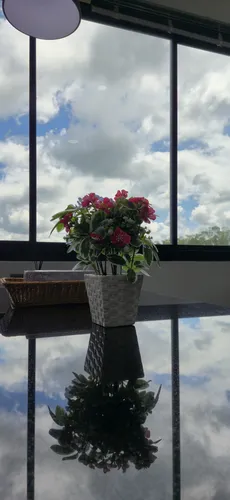 รูปภาพของอารารี่ แฟมิลี่อพาร์ทเม้นท์