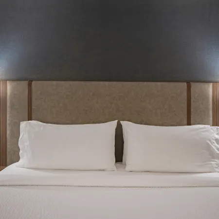 Holiday Inn & Suites KAMLOOPS by IHG