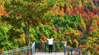 shijing sky view luying jidi - pemandangan pegunungan