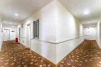 Jingzu E-sports Homestay (Nanchong Five-star Garden)