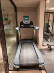 GreenTree Eastern Hotel (Alar Municipal Government) - palestra
