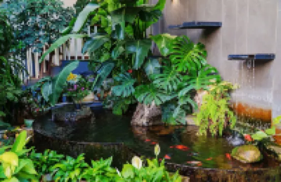 石屏清寧智能民宿