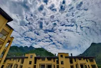 My Travels Shenyu Forest  Villa Hotels in Shennongjia