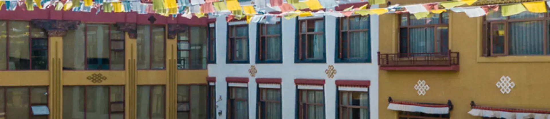 Cultural Hotels