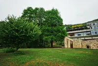 Lakeside Hotel Hotels in Hakka Wold